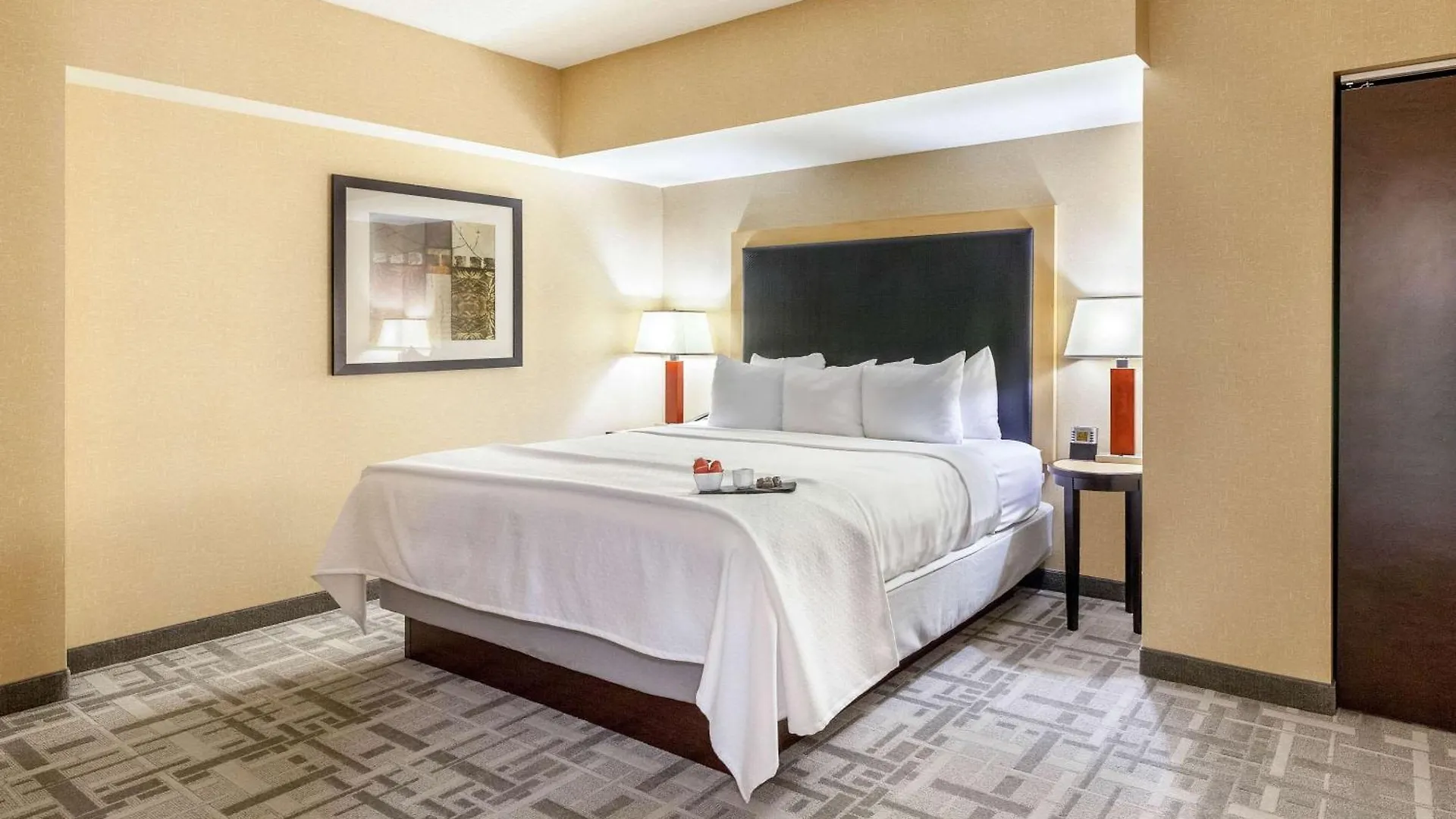 Cambria Hotel Pittsburgh - Downtown 4*,  Verenigde Staten